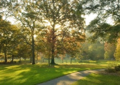 A Pastoral View of Dellwood Park