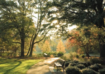 Olmsted Linear Park