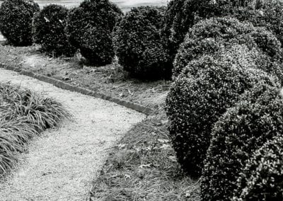 Tile Edging Limestone Path