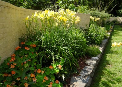 Perennial Border