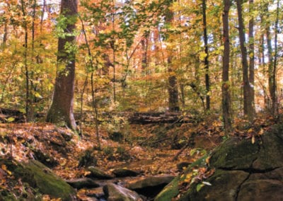 Stream Crossing